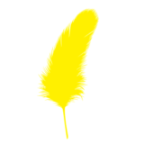 安倍総理の胸元の黄色い羽根の意味は？強化期間は？募金活動はある？